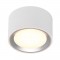 Nordlux Fallon 47540132 Οροφής φωτιστικό Led 5.5W Λευκό/Ατσάλι
